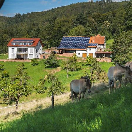Apartament Gruenewaldhof In Rimbach Im Odenwald Zewnętrze zdjęcie