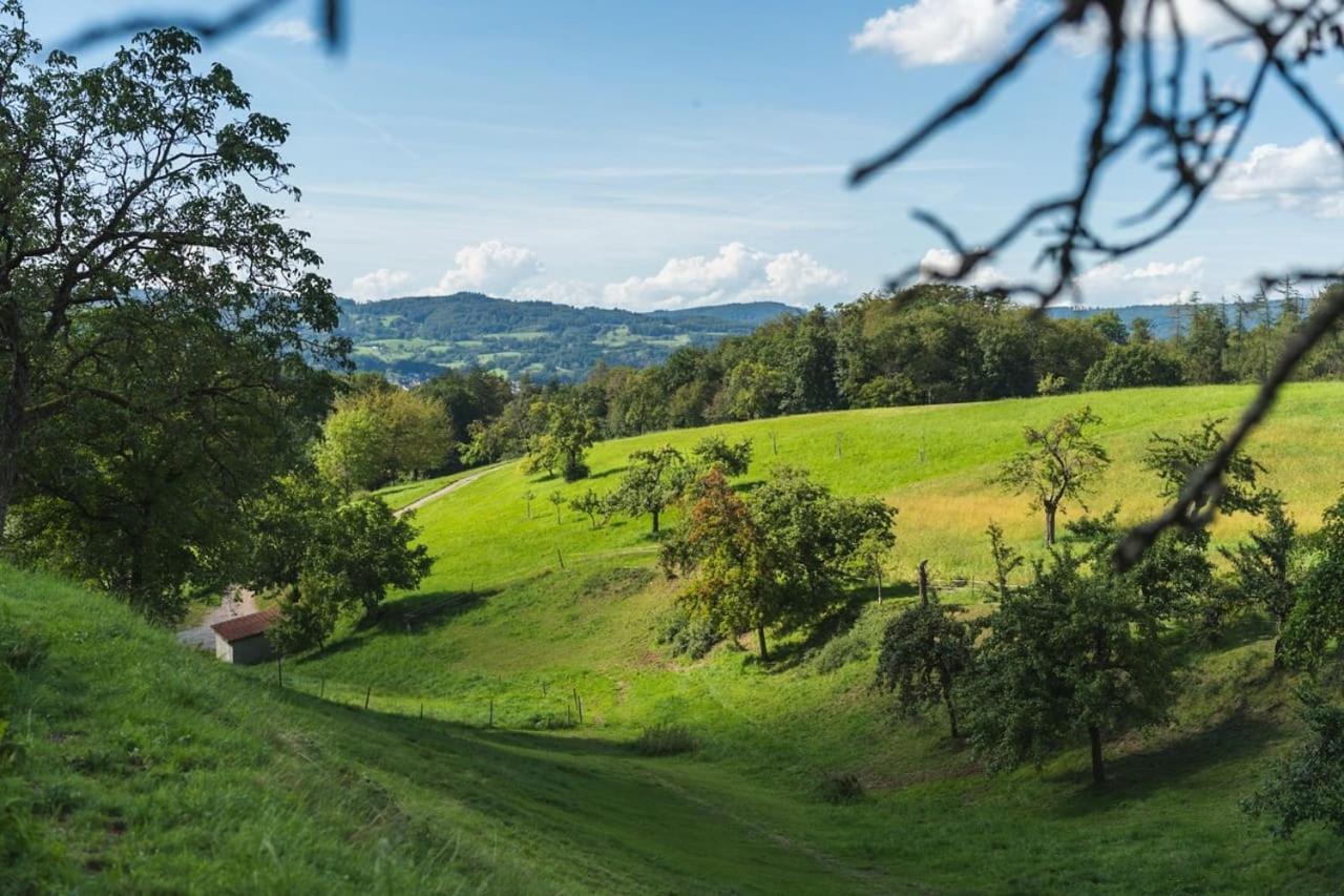 Apartament Gruenewaldhof In Rimbach Im Odenwald Zewnętrze zdjęcie