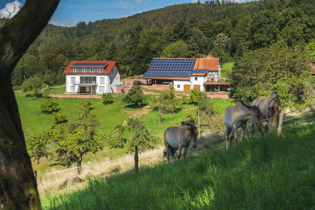 Apartament Gruenewaldhof In Rimbach Im Odenwald Zewnętrze zdjęcie