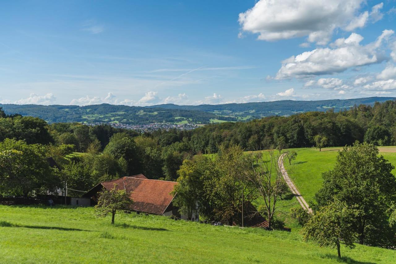 Apartament Gruenewaldhof In Rimbach Im Odenwald Zewnętrze zdjęcie